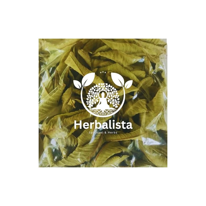 HERBALISTA - Té de hojas de guayaba enteras de cosecha