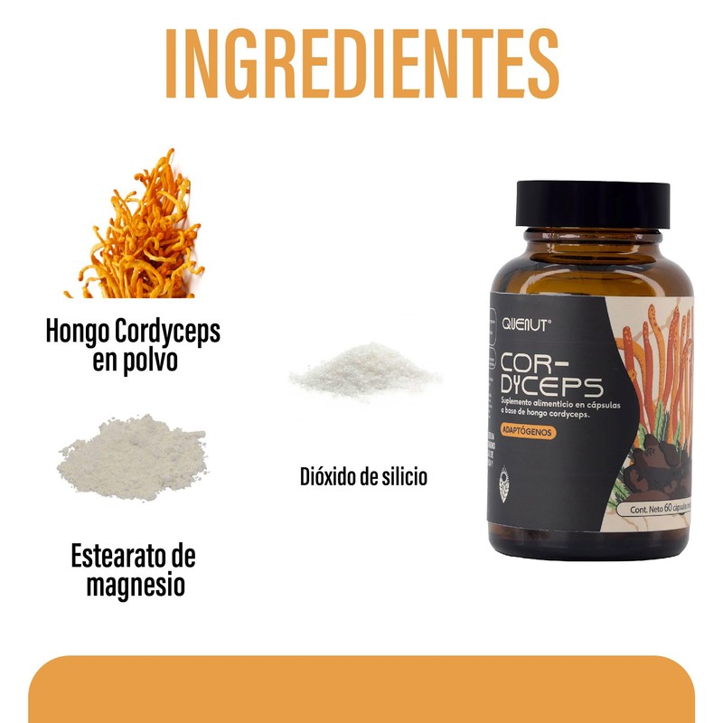 QUENUT | Adaptógeno Orgánico de Hongo Cordyceps en Cápsula Vegana