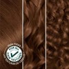 Garnier Hair Color Nutrisse Nourishing Creme, 535 Medium Golden Mahogany