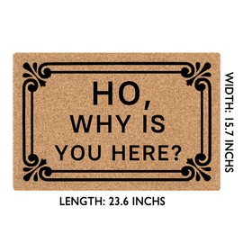 NICESIR Welcome Mat Ho Why is You Here Funny Doormat for Home Entrance (23.6 X 15.7 inch) Polypropylene Fabric Top with Rubber Back Doormat for Front Door Indoor Outdoor Rug