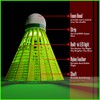 EAGLES LED Badminton Shuttlecocks - 5 Pack Lighting Birdies