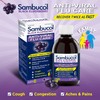 Sambucol Black Elderberry Anti-Viral Flu Care | Quickly Relieves Cold
