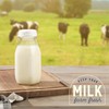 kitchentoolz 12 Oz Square Glass Milk Bottles with Lids (4