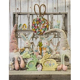 Boston International - 22" Spring Grey Gnome - Lolly