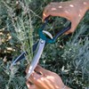 Burgon & Ball RHS Endorsed Shrub Shear, 30.5 cm Length