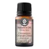 Cinnamon Orange Clove Fragrance Oil 10ml for Holiday Diffuser Oils,