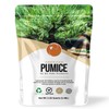 Ho Yoku Pumice for Plants, 2.25 Quarts, Horticultural American Pumice