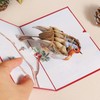 Robin Pop Up Christmas Cards 3D Single Xmas Card for