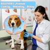Niuoppy Inflatable Dog Collar for After Surgery, Pet Inflatable Collar