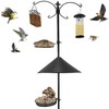 EasyGo Product Squirrel Proof Bird Feeder Wild Bird Station -