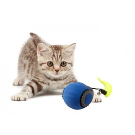 ZYKORNIUM Interactive Cat Toy Ball - Automatic Rolling Rechargeable Cat Toy, Chasing Ball for Indoor Cats & Kittens, Feather Tail, Self-Moving Cat Toy, Fast & Slow Speed (Blue)