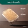 EcoTools Travel Hairbrush Bundle, Detangle & Smooth Hair On-The-Go, Brushes
