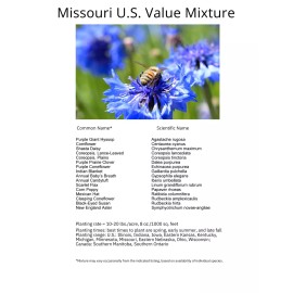 Paper Street Perennials 1/4LB Missouri Bulk Wildflower Seed Mix 1lb Covers 2,000sq-ft
