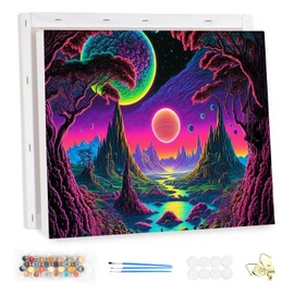 MEIYUDA Paint by Numbers Adults with Frame, Black Light Galaxy Room, DIY Digital Oil Painting Set on Canvas with Brushes and Acrylic Pigment Craft Set, Artwork for Home Decoration, Gift, 40 x 30 cm