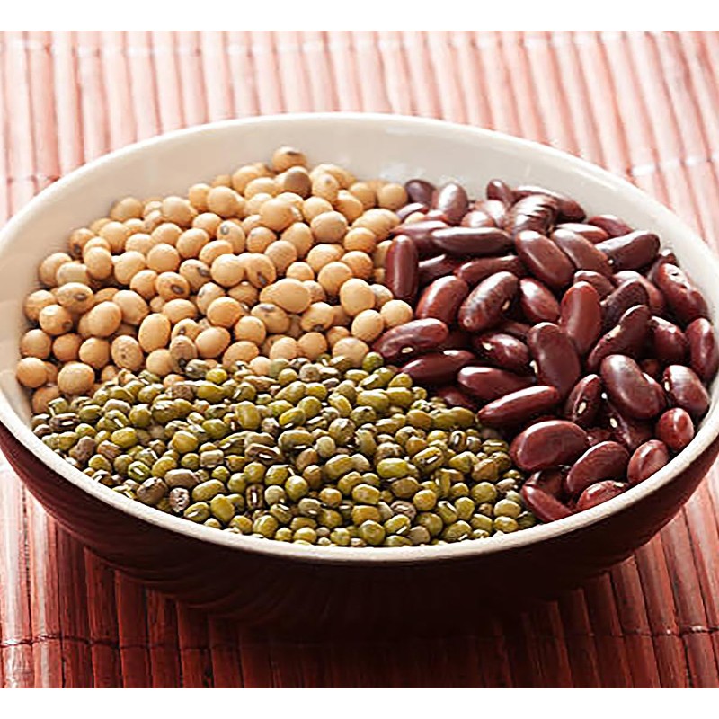 Bush Bean Red Kidney Bean Seeds