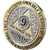 9 Month AA Medallion Reflex Funfetti Birthday Glitter Gold Sobriety