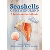 Seashells of New England: A Beachcomber's Guide