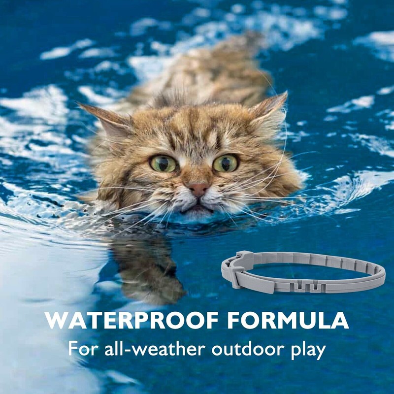 UrbanX Natural Ingredients Flea Prevention Collar for Cats up to