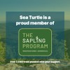 Sea Turtle Plant-Based Bristles, Bamboo Toothbrushes, Soft Natural Toothbrush for