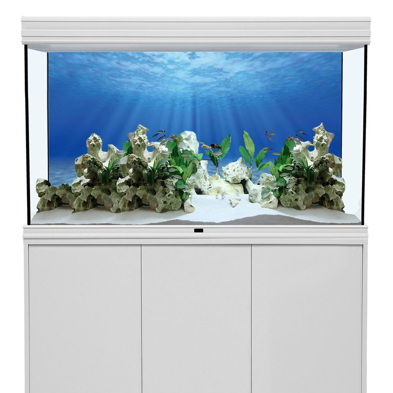 AWERT Undersea Theme Aquarium Background Sunshine Underwater World Fish Tank
