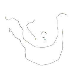Front Brake Line Kit - Fits 55-57 Chevy Car - Galfan Coated Steel - The Stop Shop