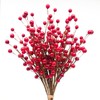 Mauts 10 Pcs Artificial Holly Berries, Decor for Christmas decoration