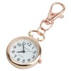 prendre PR-NASUKA-WATCH Nurse Watch, Pocket Watch, Key Chain, Nasukan, Simple,