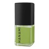 Hanami Avant Garden Nail Polish, 15ml