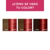 L'Oreal Paris, Tinte Para Cabello Excellence 6660 Rubio Oscuro Rojizo