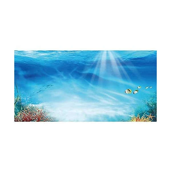 AWERT Undersea Theme Aquarium Background Colorful Coral Tropical Fish Sunshine Underwater World Fish Tank Background 24x12 inches Vinyl