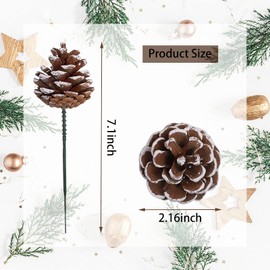 Christmas Natural ​Pine Cones, Snow Tipped Natural Pine Cone, Christmas Tree Decoration Sticks for Craft Garland Xmas Tree Decorations Wreath Ornaments 20Pcs