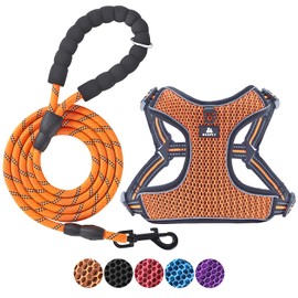BAAPET Breathable Dog Harness for Small Puppy, Medium Dogs Step-in and Air Mesh with 6 Feet Reflective Rope Dog Leash (L - 6 FT x Chest (20~25''), Orange)