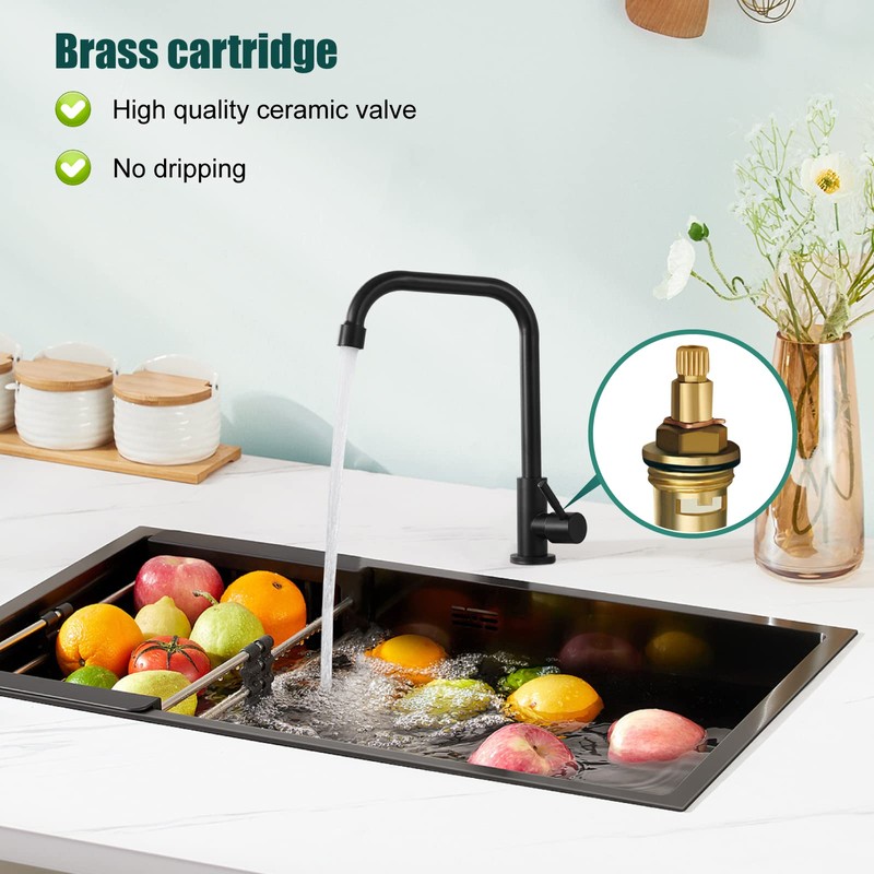 Heyalan Matte Black Faucet Cold Water Only Single Lever Handle