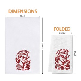 WCGXKO Funny Cat Gift I'm Only Talking to My Cat Today Kitchen Towel Cat Mom Housewife Gift (Cat Towel CA)