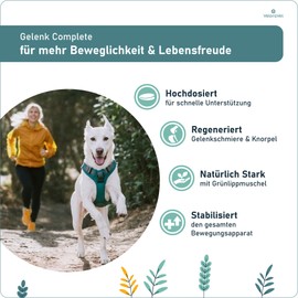 VeloraVet Grünlippmuschel für Hunde mit MSM & Glucosamin, natürliche Kraft für Mobile Gelenke - leckere Alternative zu Grünlippmuschel Kapseln, Gelenktabletten Hund & Grünlippmuschelpulver - 60 Stück