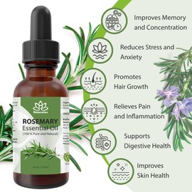 Relaxcation Rosemary Oil – Steam Distilled from Spanish Rosmarinus Officinalis, Fresh Herbaceous Aroma, Middle Note Botanical Oil for Hair, Skin, DIY & Blends (1 oz)