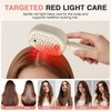 Electric Spray Air Cushion Massage Comb, 3-in-1 Electric Spray Hair