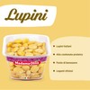 MADAMA OLIVA, Lupini Salati, Ottimo Snack per Aperitivi, Ideale per