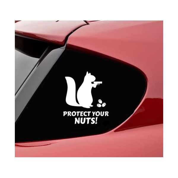Slap-Art Protect Your Nuts Funny Squirrel Vinyl Decal Sticker