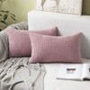 MIULEE Set of 2 Decorative Corduroy Cushion Covers 12x20 Inches,