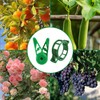 EOWVISN 40Pcs Plant Stem Training Clips And 10Pcs Vine Retaining