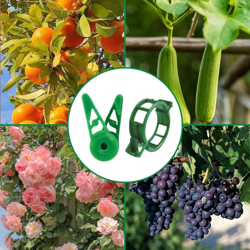 EOWVISN 40Pcs Plant Stem Training Clips And 10Pcs Vine Retaining