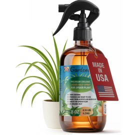 GARDENERA Professional Organic Liquid Kelp Spray for Spider Plant Plants - 8 oz - Ready-to-Use Fully Organic Seaweed & Kelp Fertilizer Mist