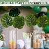 Teenyyou 31 Pcs Jungle Animal Party Decorations Set Includes 6
