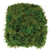 Baker Ross Dried Moss (100g per pack)