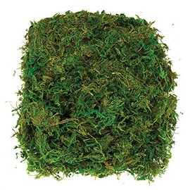 Baker Ross Dried Moss (100g per pack)