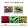 MOPOYAT Gel Hidratante Vegano Cuidado De Tatuajes 30g