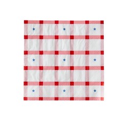Red Gingham and Blue Stars Paper Lunch Napkins