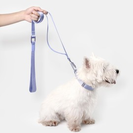 BuddyArmor Dog Collar and Leash Set, Heavy Duty Quick Release Buckle Dog Collar and Two Handles Dog Leash for Training & Outdoor Walking for Small Medium Large Dogs (Space Gray, S)