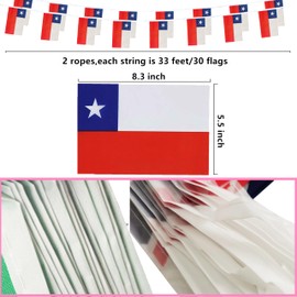 Chile Chileans String Flag Pennant Banner, Small Mini Chile Chileans Bunting Banner National Country Decoration for School, Party, Patriotic Festival, 66 Feet 60 Flags